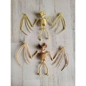 Greenbrier Halloween skeleton hanging bat set pop decor